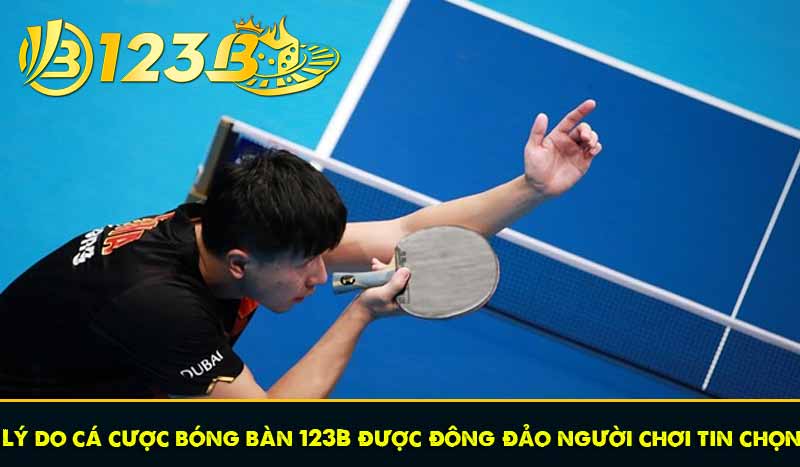 Lý do cá cược bóng bàn 123B được đông đảo người chơi tin chọn